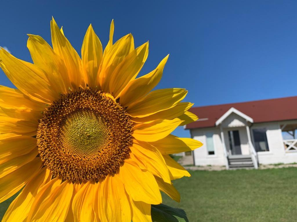 Gizycko-Przerwanki Domki Widok Na Mazury Exterior foto