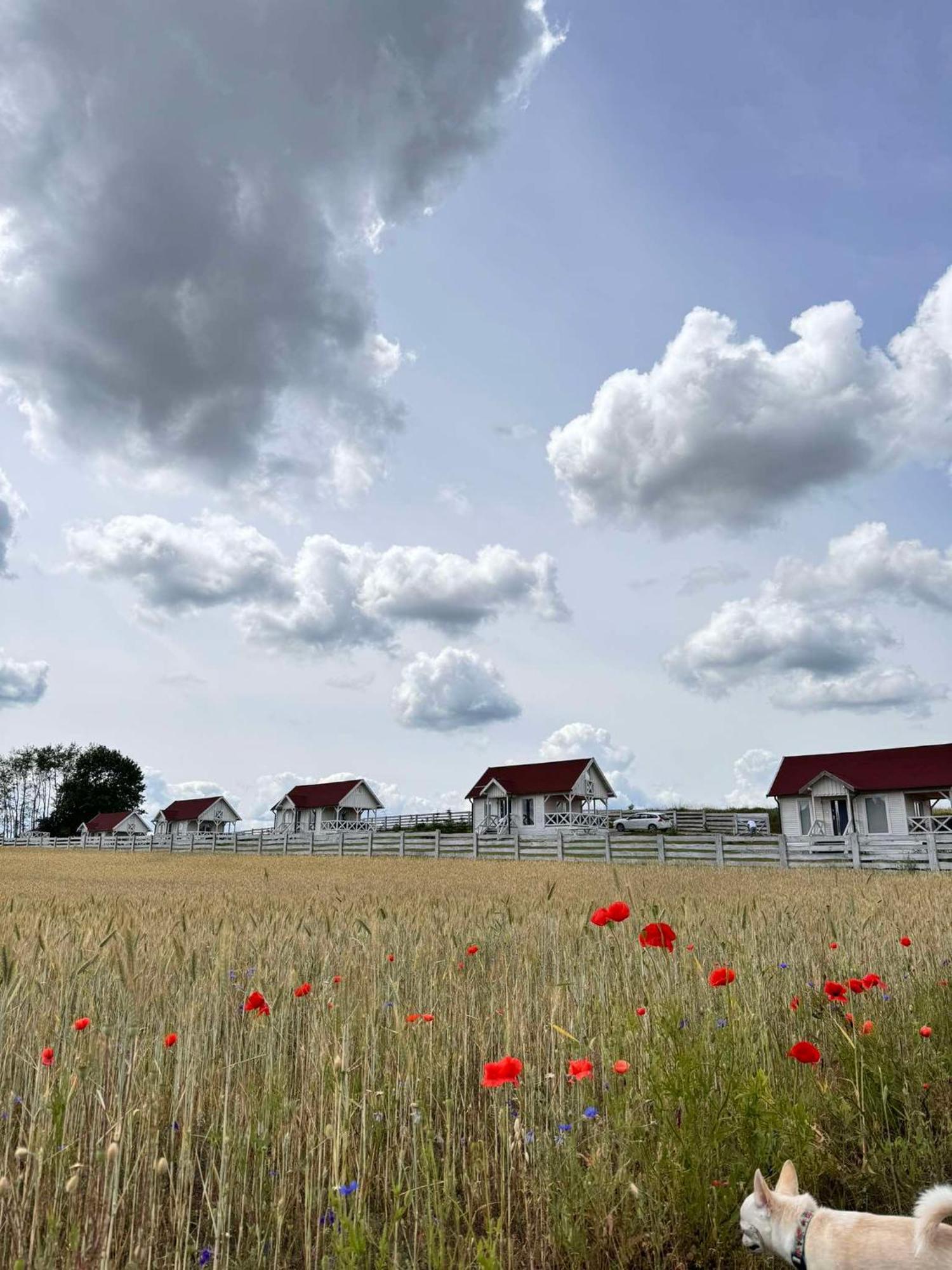 Gizycko-Przerwanki Domki Widok Na Mazury Exterior foto